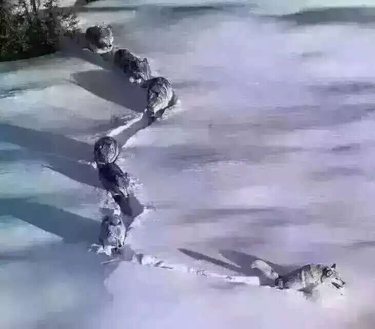 &#20248;&#20048;&#22253;
